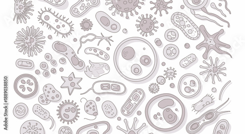 Seamless Pattern of Various Microorganisms Including Bacteria and Viruses, on an Isolated White Background.