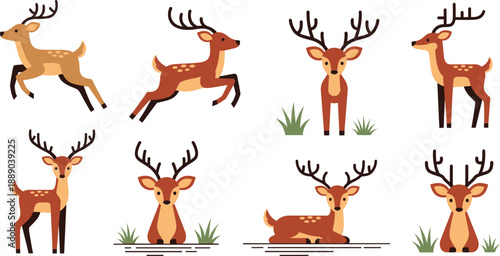 Cute Cartoon Deer Vector Illustration Set with Stag Characters in Different Poses for Forest Wildlife Kids Designs and Nature Graphics