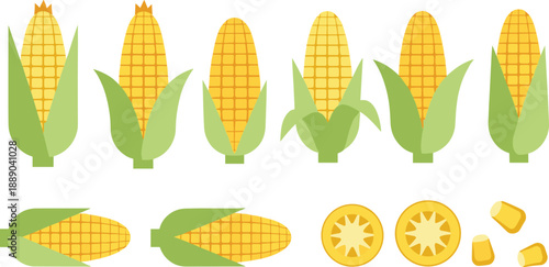 Flat Corn Cob Vector Icon Set with Yellow Maize Vegetables, Husk Leaves, Slices, and Kernels for Organic Farming and Harvest Food Designs