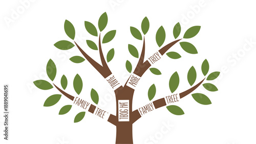 A vector graphic illustration of a family tree with green leaves and brown branches on a white background