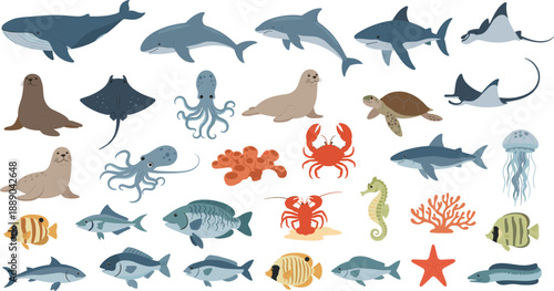 Marine Sea Animals Vector Illustration Set with Whale, Sharks, Ray, Turtle, Octopus, Seal, Fish, Crab, Coral, and Underwater Ocean Life