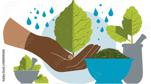 Hand nurturing a lush green leaf under raindrops, symbolizing natural healing, herbal medicine, and sustainable wellness with traditional remedies.
