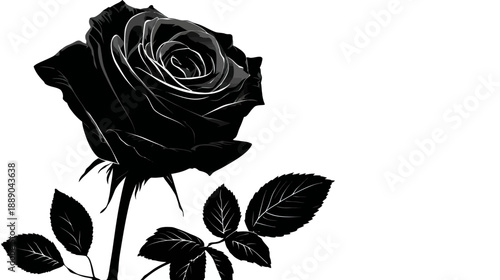 Elegant black rose silhouette illustration on a stark white background, a symbolic dark bloom with stem and leaves.