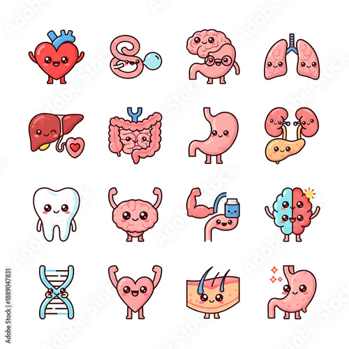 Adorable Kawaii Style Human Internal Organs and Biological Structures Vector Set for Health and Medical Education with Happy Faces