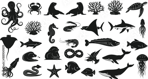 Black marine life silhouettes collection featuring ocean animals, sea creatures, coral, fish, whales, sharks, and underwater wildlife icons isolated on white background