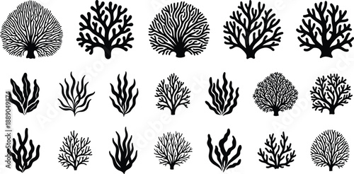 Collection of coral reef silhouettes featuring seaweed and marine plants, black underwater shapes representing ocean life, aquatic nature elements, reef ecosystems and marine biodiversity design