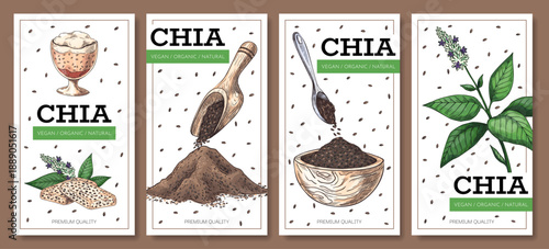 Chia posters. Plants and grains sketch illustration. Vegan superfood hand drawn diet products. Spoon with seeds and paper packaging. Healthy desserts flyer. Vector cards set