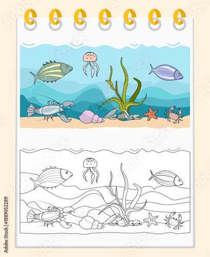 Coloring book Underwater Seabed Ocean Sea habitat