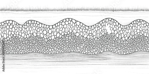 Cross-section of soil layers with grass texture and organic cellular structure