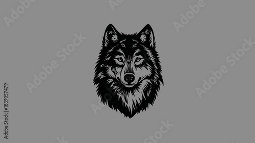 Majestic black and white wolf head illustration, wild animal canine portrait, strong graphic design element