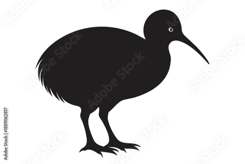 Ibis Bird Silhouette Isolated on White Background