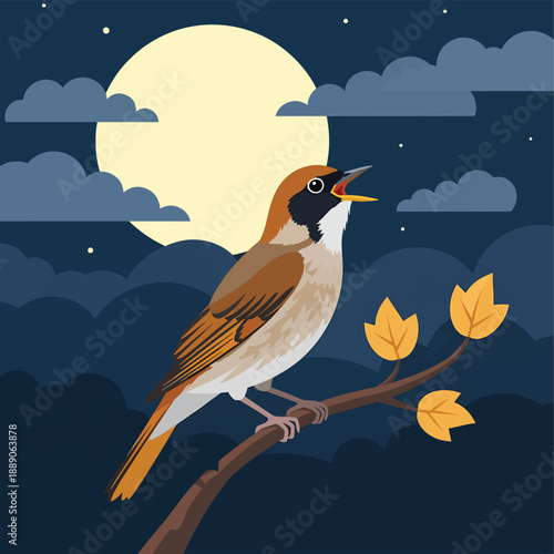 Night Serenade of a Bird