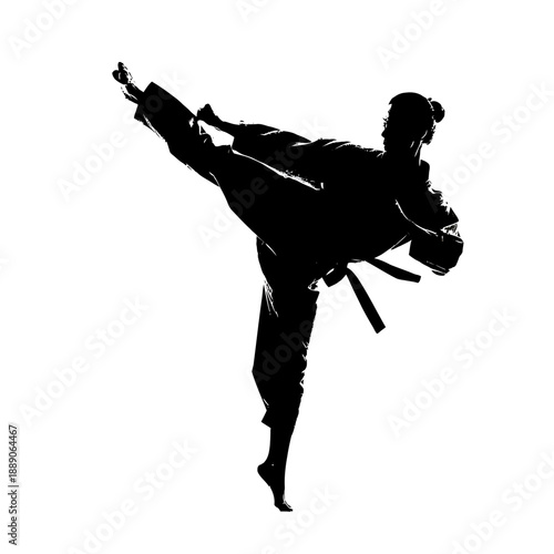 A martial artist performs a high kick in silhouette against a plain background