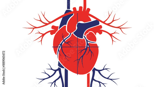 Vibrant vector illustration of human heart and circulatory system with precision target, symbolizing cardiovascular health, medical diagnostics, and anatomical science concepts