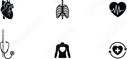 Human Anatomy and Healthcare Icons Vector Collection Featuring Anatomical Heart Rib Cage Stethoscope and Medical Health Symbols