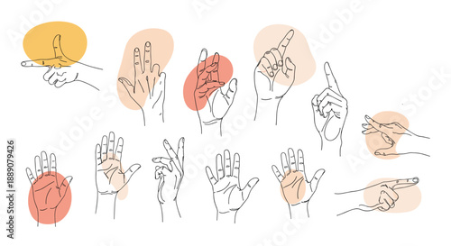 Sketched collection of various human hand gestures and palm positions accompanied by decorative soft abstract shapes in a modern style.