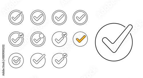 Collection of various check mark and tick icons inside circular borders including one large outline symbol and one filled orange mark.