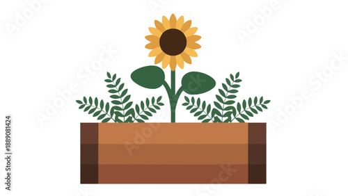 A vibrant sunflower in a brown planter with green leaves on a white background