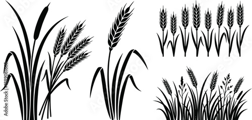 Grass with Wheat Field Icon Silhouette Vector Set – Agricultural Plant Illustration