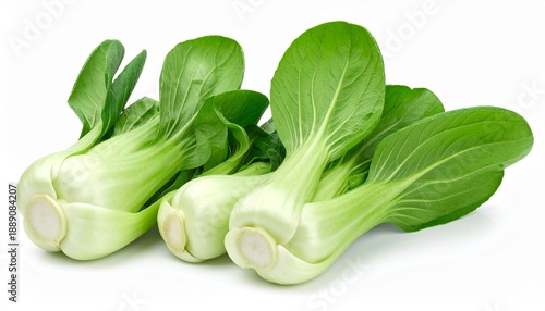 Pak Choi isoliert
