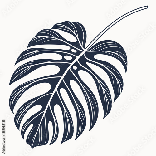 Monstera leaf silhouette