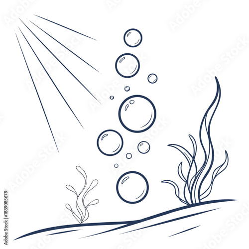 Sunlit underwater bubbles and seaweed