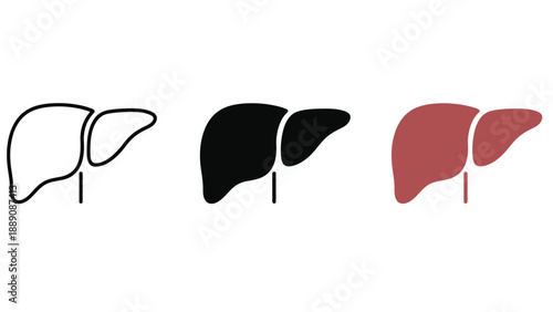 An illustration of a human liver in different colors and styles