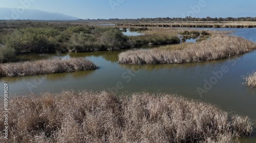 Wildlife and nature: A drone bird flying over peaceful coastal wetlands and lagoons.