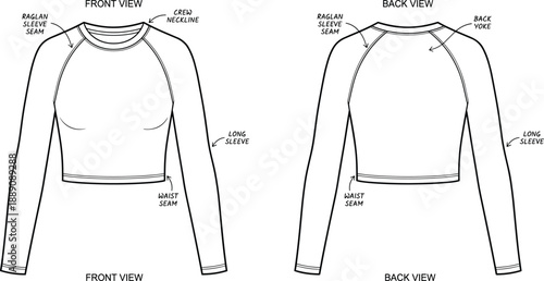 Technical fashion illustration of crop top front and back view, raglan sleeves, crew neckline, waist seam – flat vector design