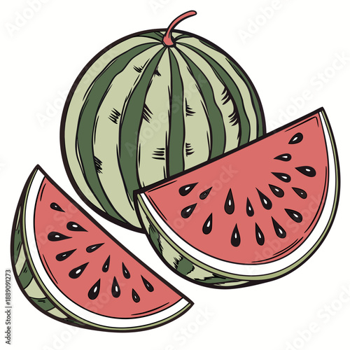 Sliced watermelon illustration