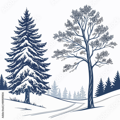 Winter forest silhouette