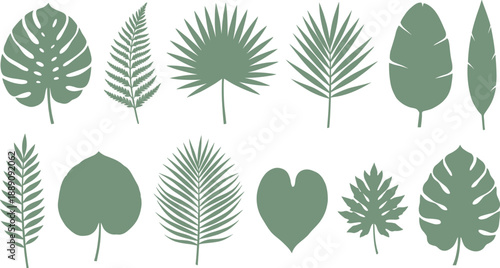 Tropical botanical leaf silhouette set in minimal flat style featuring monstera palm fern banana and jungle foliage shapes isolated for wall art branding packaging textile and eco design projects