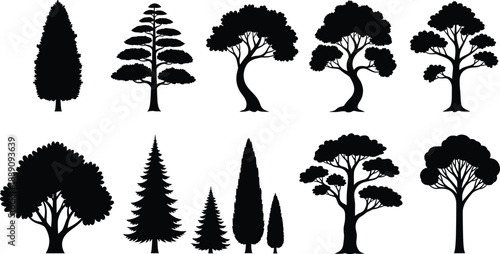 Tree silhouette icon set with various forest and park species for landscape nature and outdoor design projects