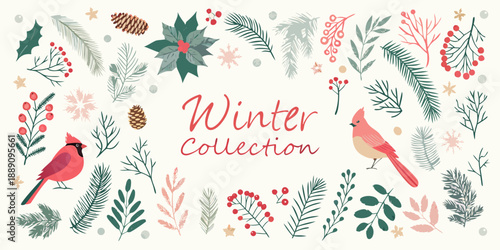 Bild auf Leinwand Festive winter collection with cardinals pine branches and holiday floral elemen