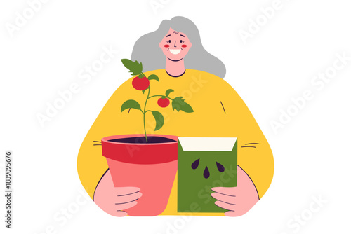 elderly woman grows tomatoes. vector illustration