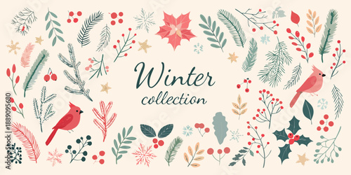 Festive winter botanical illustrations with floral elements and charming cardinal birds