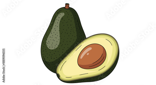 Detailed illustration of a whole dark green avocado and a sliced half showing the large brown pit and creamy light yellow flesh.