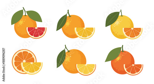 Detailed collection of various orange fruit varieties including whole fruits and slices for agricultural and nutritional information.