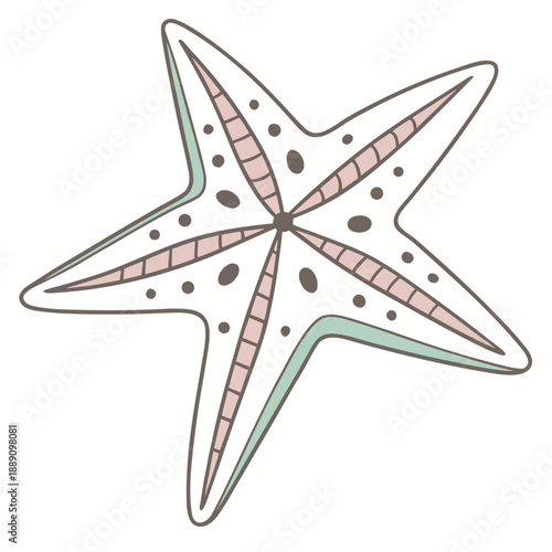 Illustrated sea star