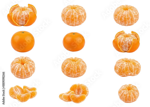Fresh Tangerine Citrus Fruit Collection: Peeled, Whole, and Segments