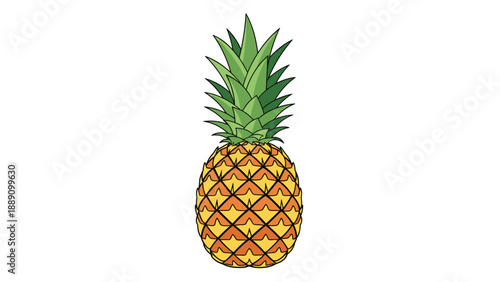 Illustration of a whole pineapple with a textured body and green leaves representing fresh tropical fruit and healthy organic diet.