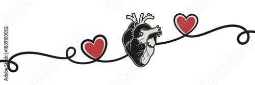 Anatomical heart illustration with romantic symbols connected by a flowing line