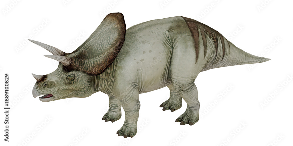 Fototapeta premium Realistic depiction of a triceratops dinosaur