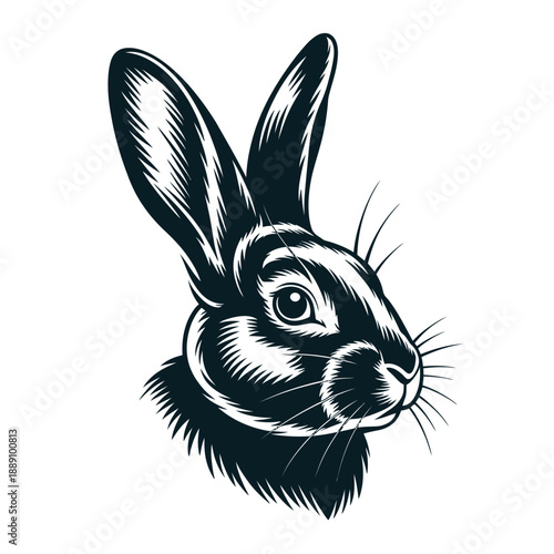Detailed black and white engraving of a rabbit s head and face