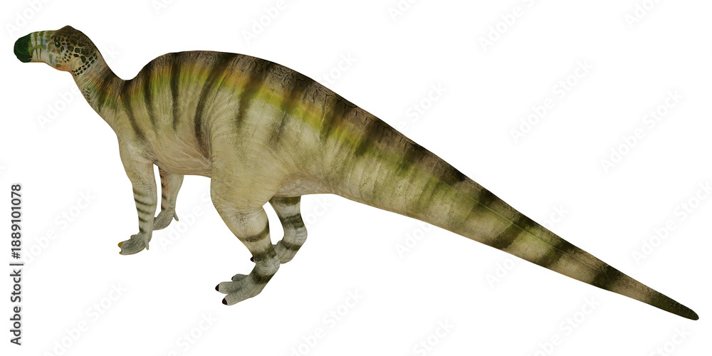 Fototapeta premium Realistic rendering of a prehistoric dinosaur.