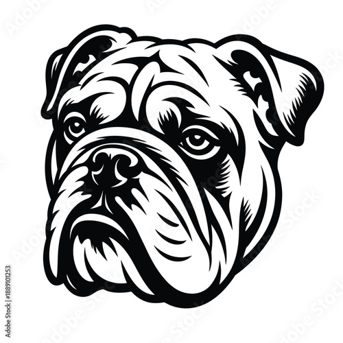 Detailed black and white illustration of an english bulldog s head