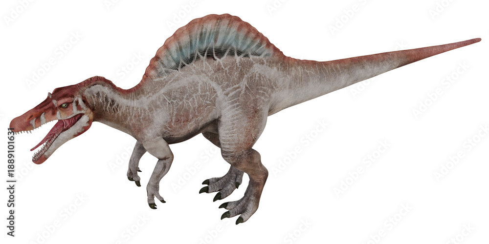 Fototapeta premium Realistic depiction of a Spinosaurus dinosaur