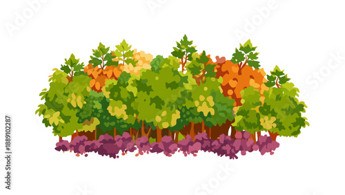 Vibrant forest in autumn