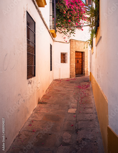 Where Petals Whisper and Shadows Remember: A Cordoban Passage