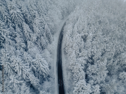 Ośnieżony las, droga w lesie, Beskid Niski